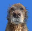 Premium Personal Profile Image